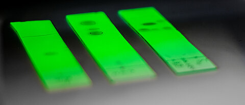 DC-Platten unter UV-Licht